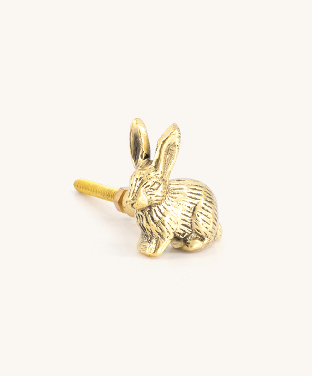 Decorative and unique furniture knobs — Beluga Boutique