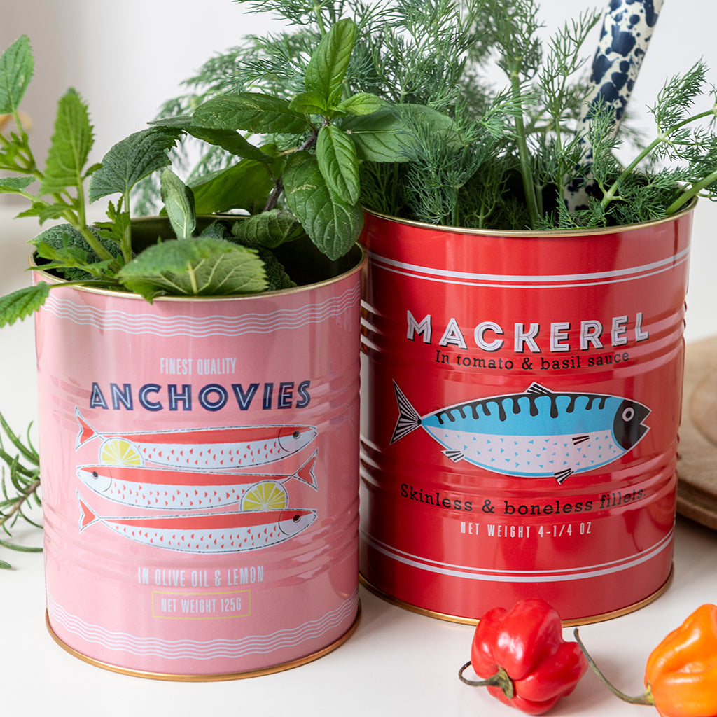 Unique housewarming gift ideas — Beluga Boutique