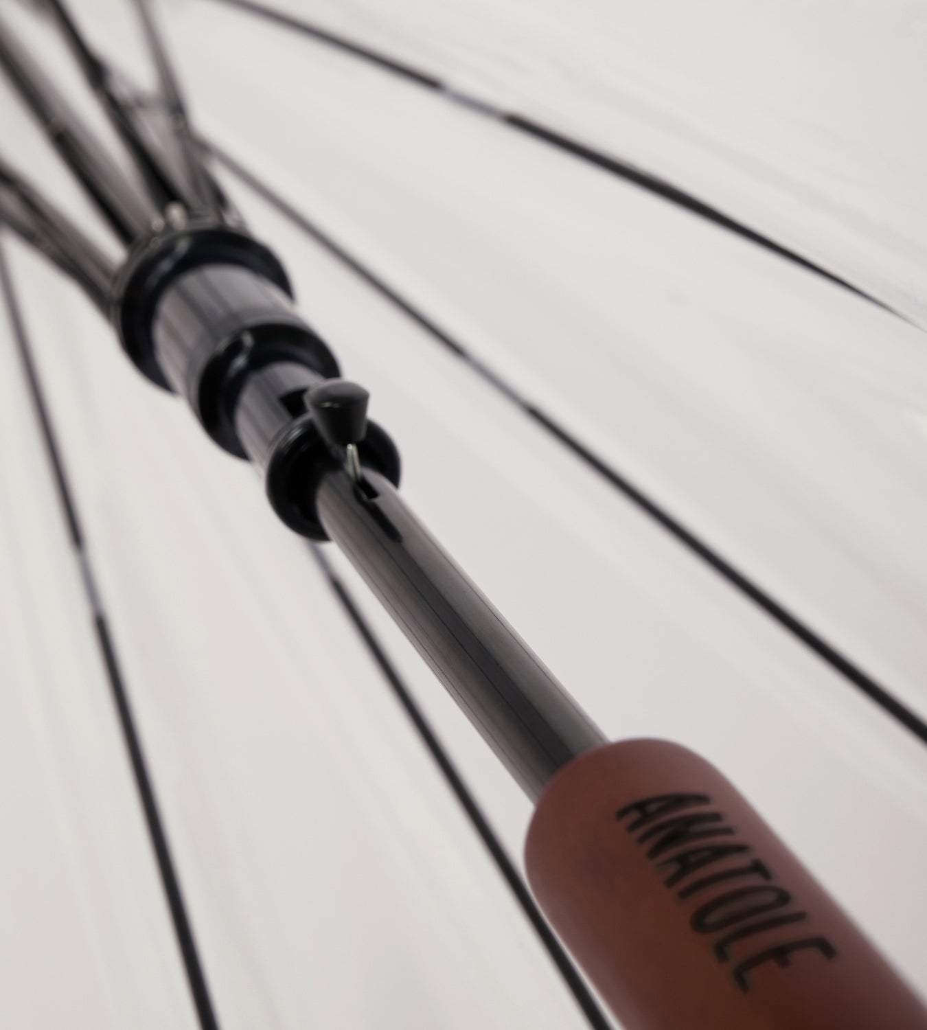 Parapluie cloche transparant avec ganse sauge