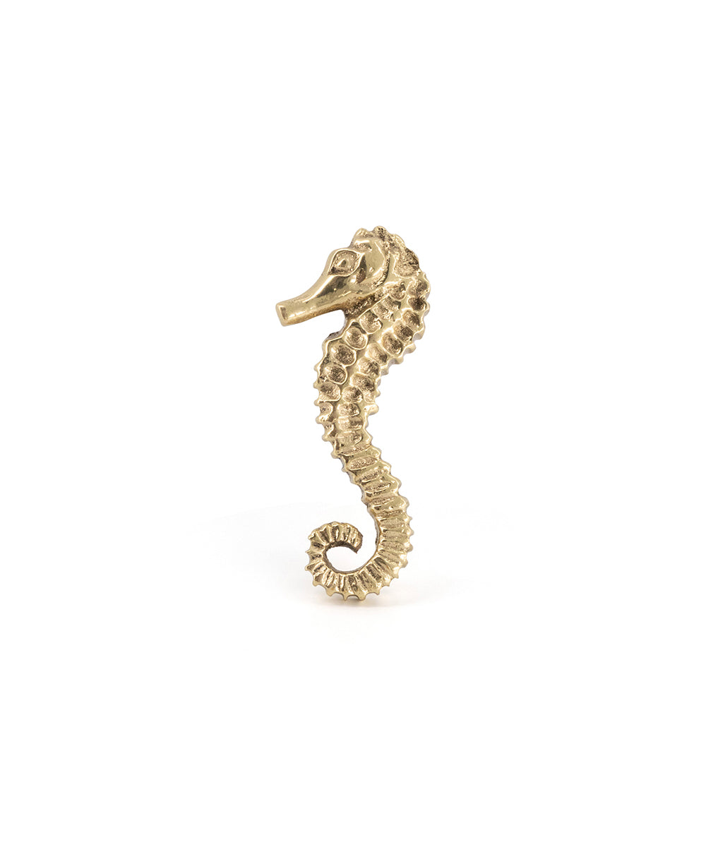 Poignée — Pippa Seahorse Brass Knob — view 3 — Doing Goods