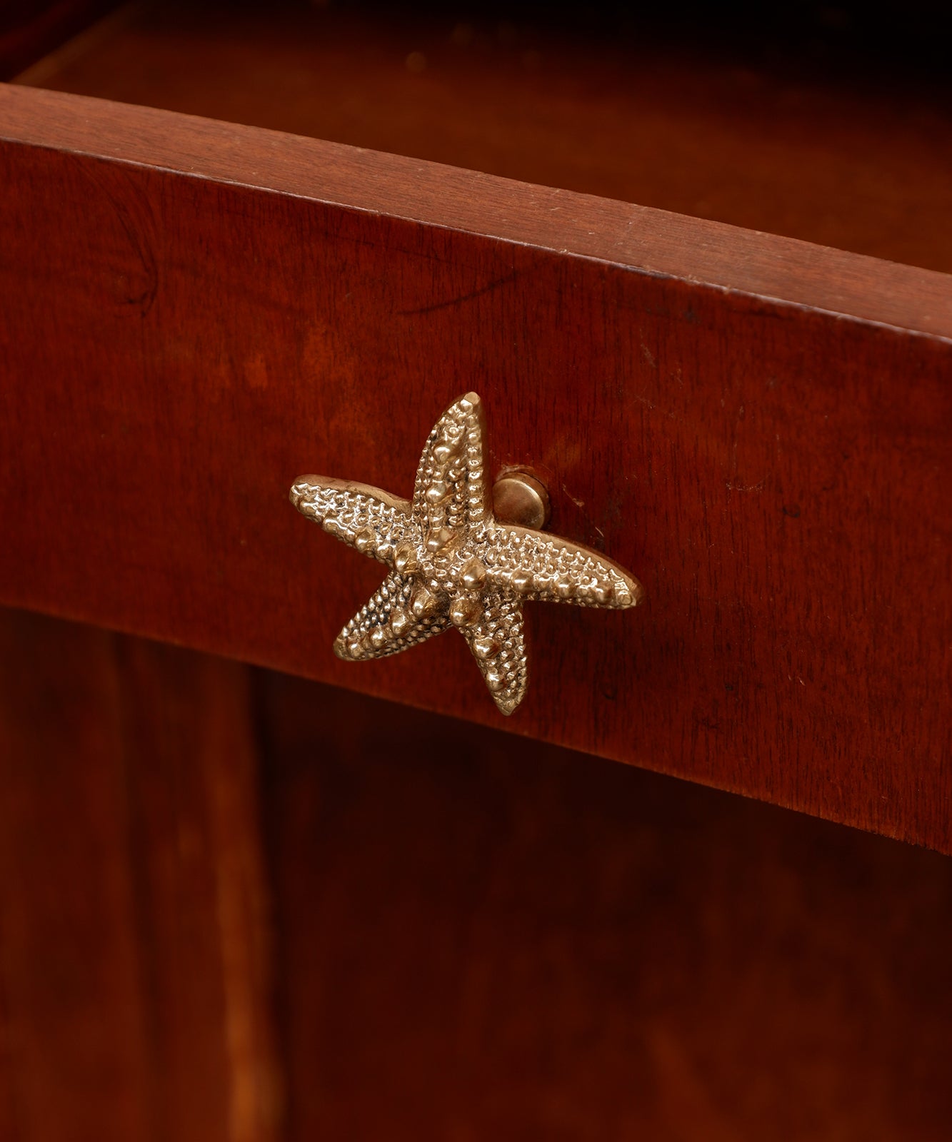 Ruby Starfish Brass Knob