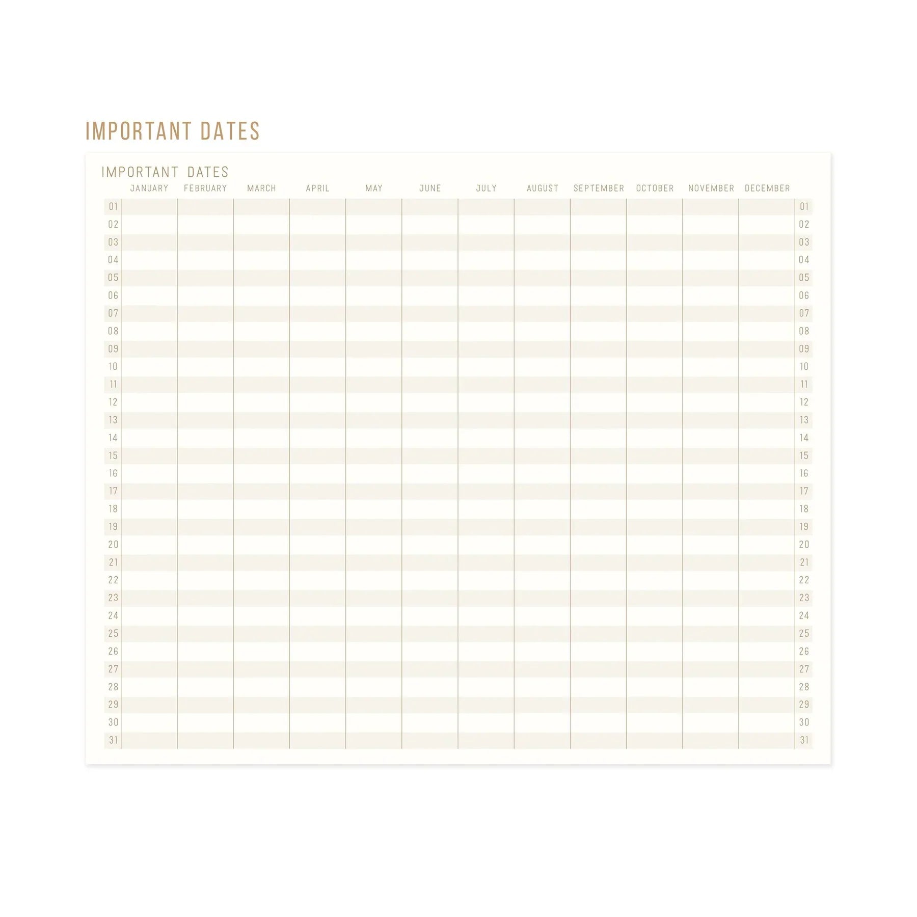 Journal relié Système solaire, bordeaux