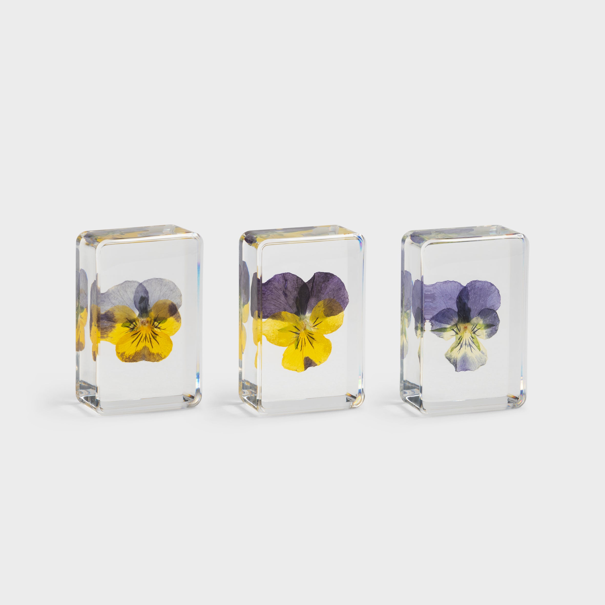 product images - &Klevering - klv-2401-16 - Cube violet 1