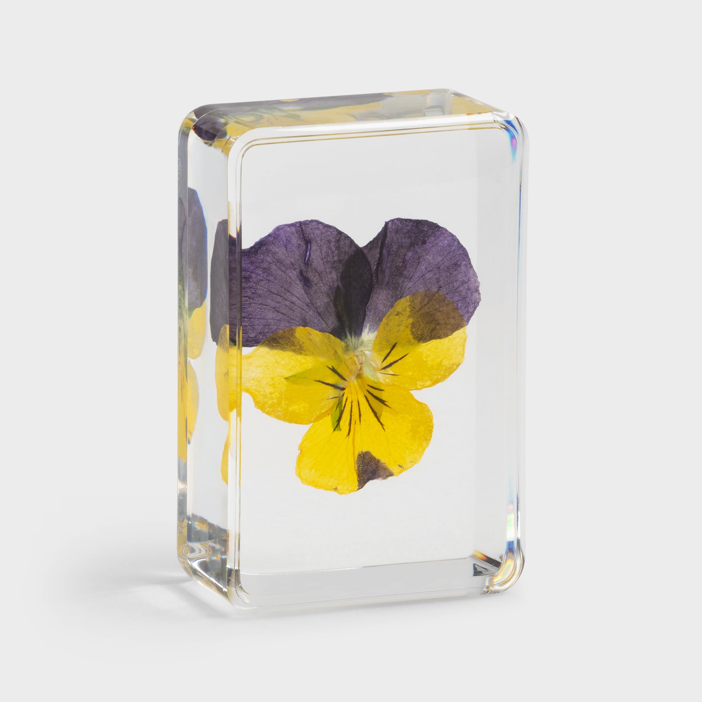 product images - &Klevering - klv-2401-16 - Cube violet 2