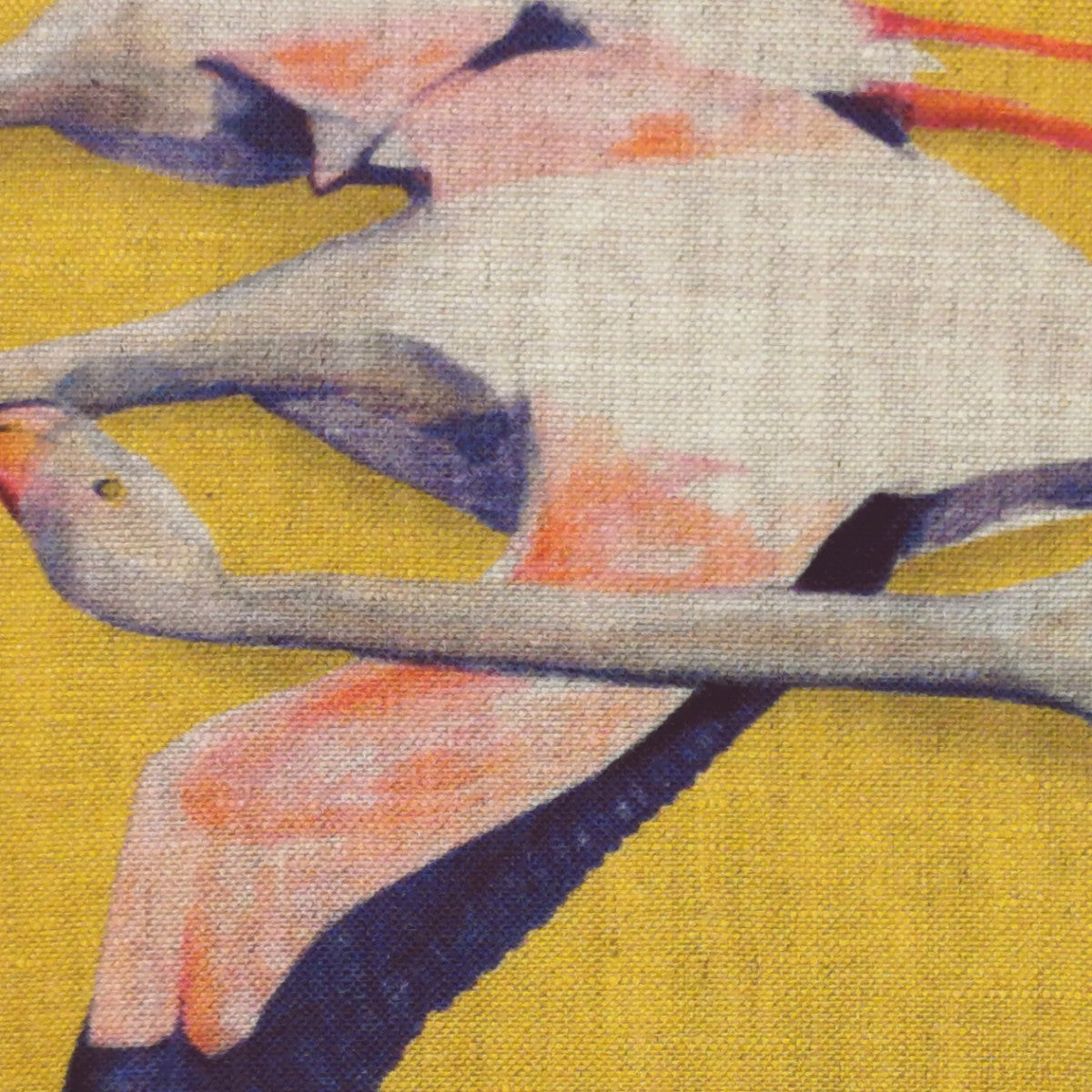 Coussin Maison Levy Flamingo Jaune 50 x 50 cm