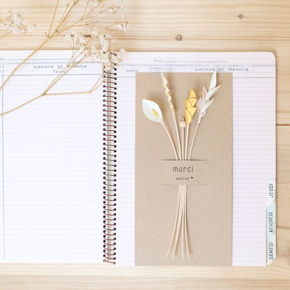 Brindille Merci Maître eucalyptus