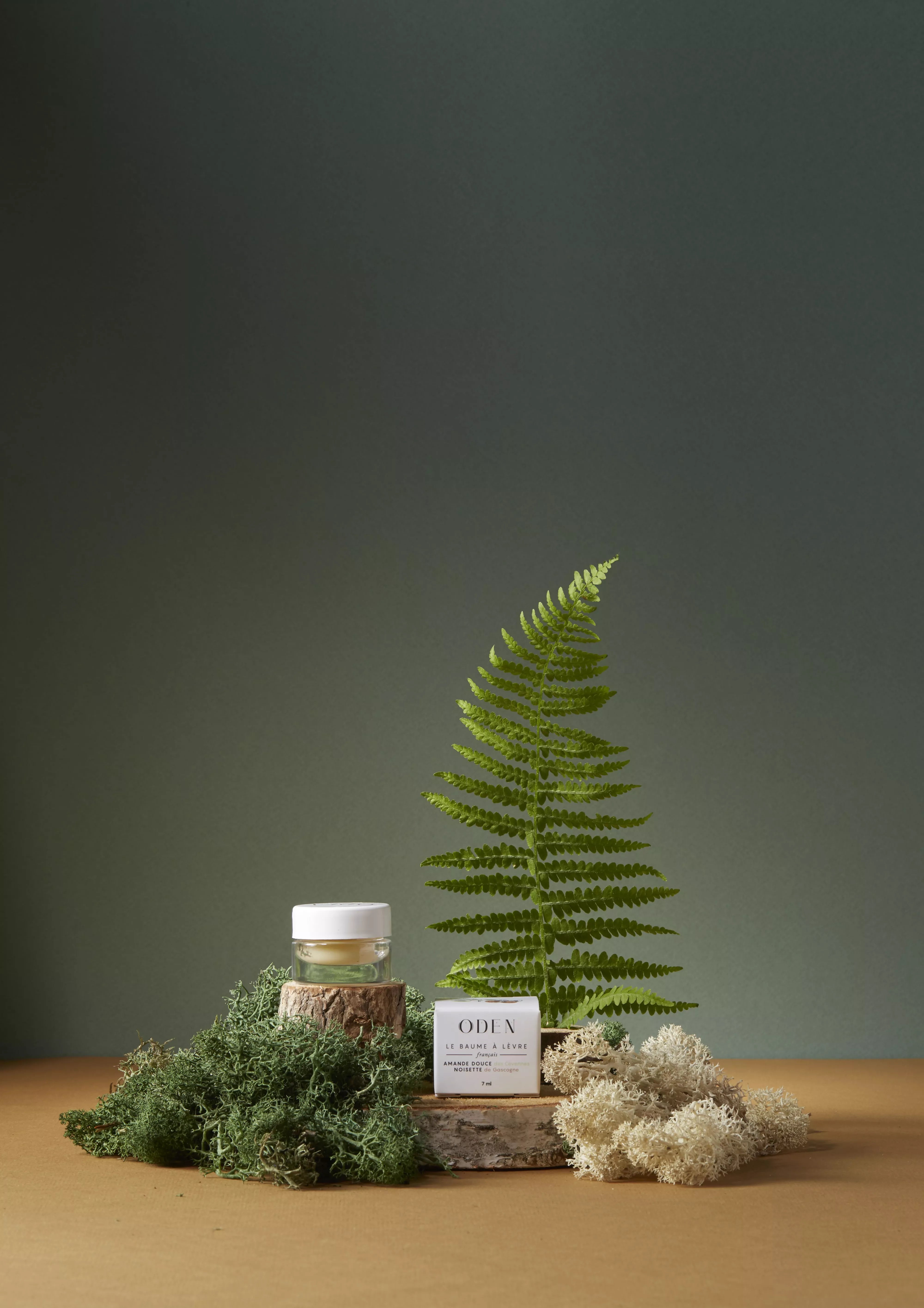 Baume à lèvres naturel – Protection et douceur en automne