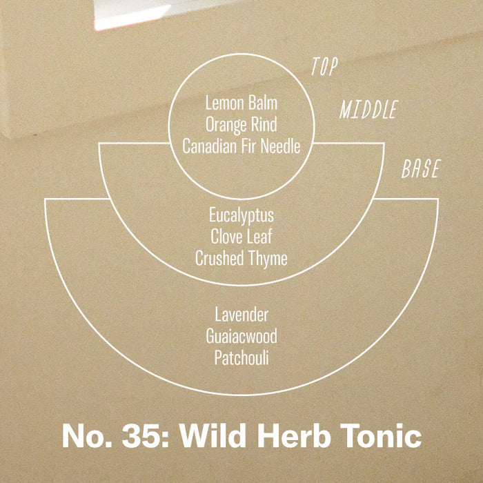 Tonique aux herbes sauvages – Diffuseur de roseaux de 100ml