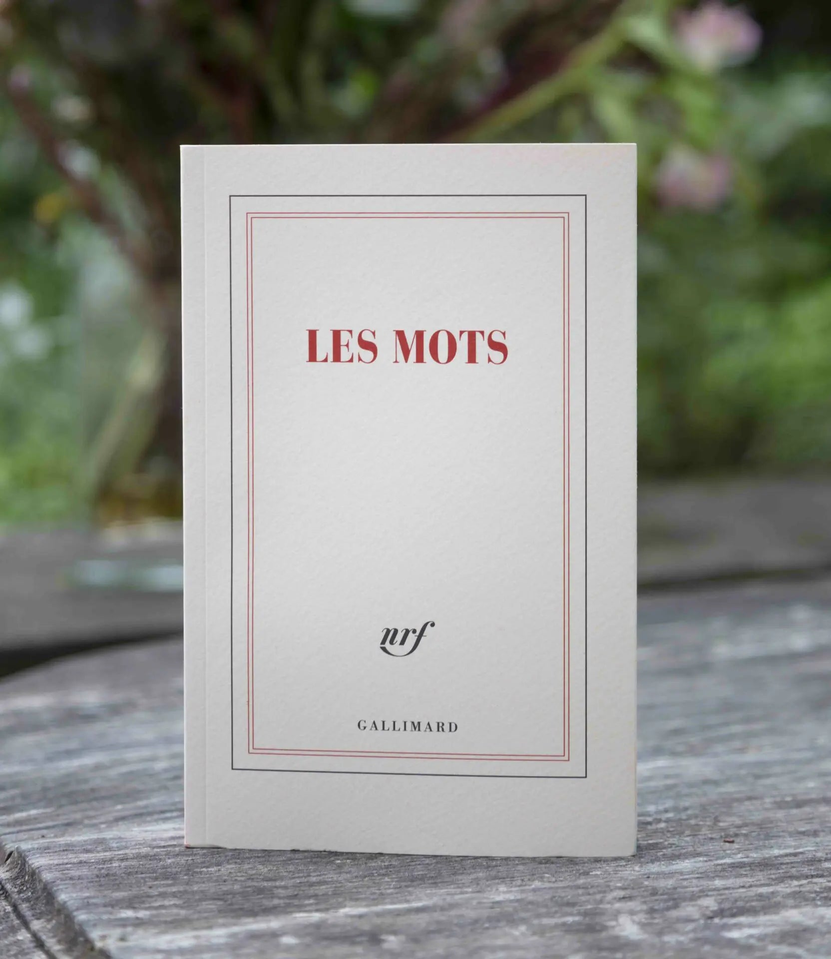 Carnet « Les mots »