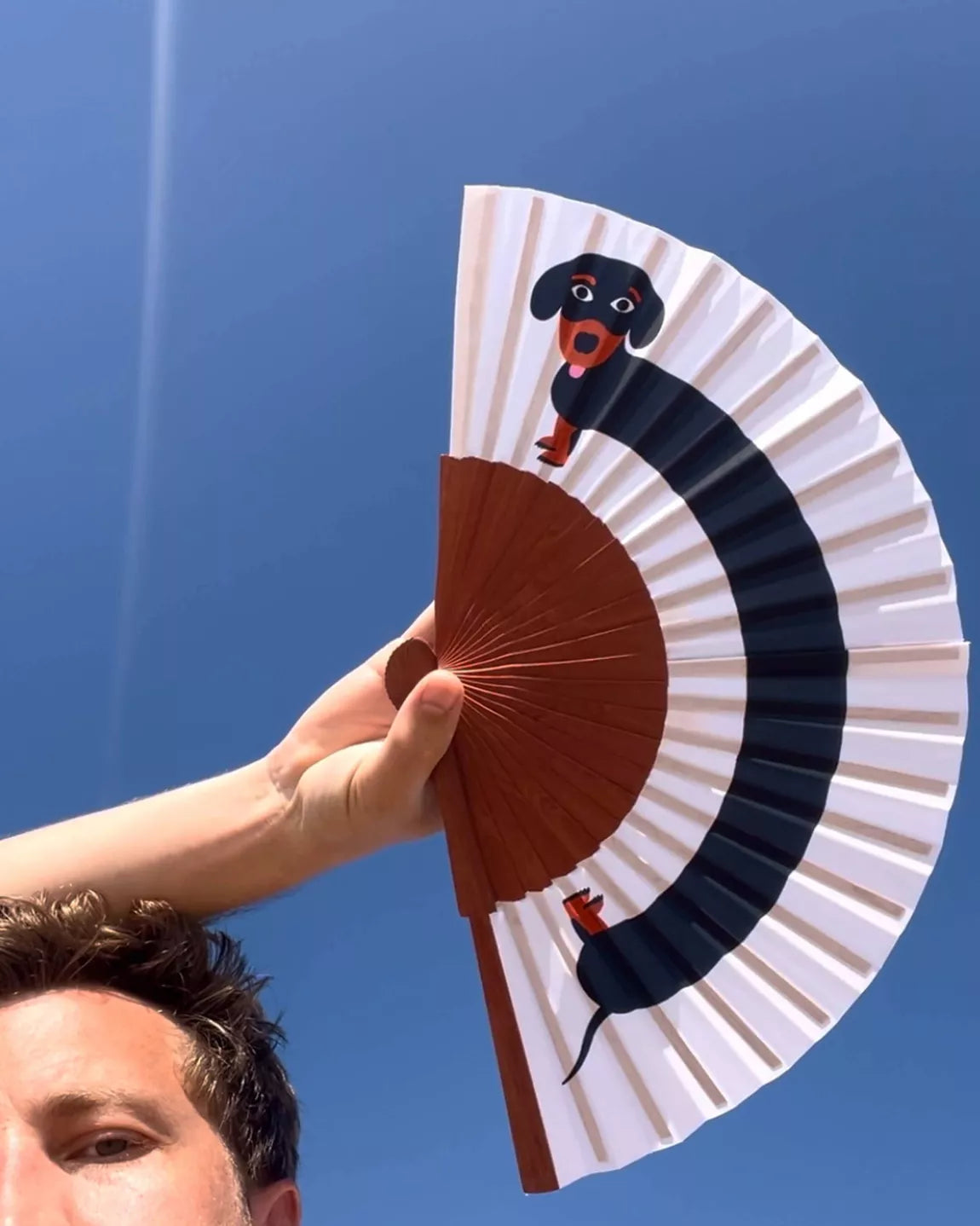 Eventail illustré Thomas Gravereau