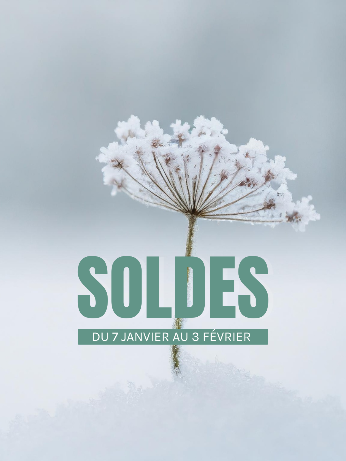 Winter sale 2026 — great prices at Beluga Boutique