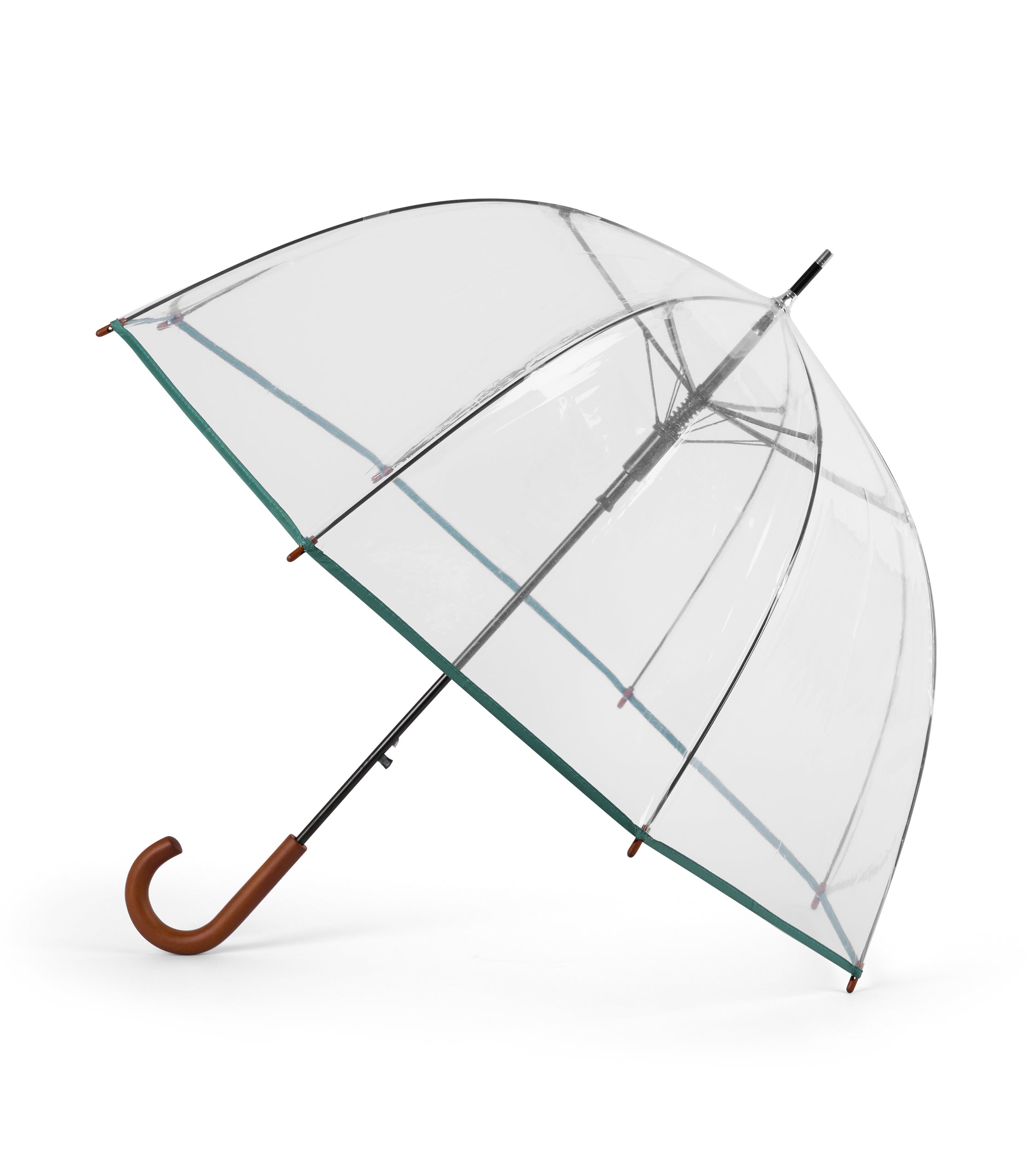 Parapluie cloche transparant avec ganse sauge