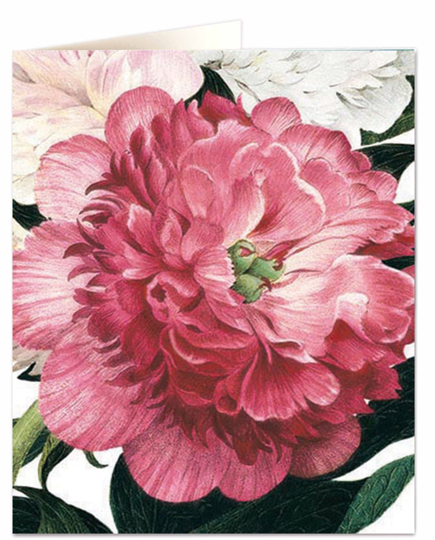 Carte Pink Peony