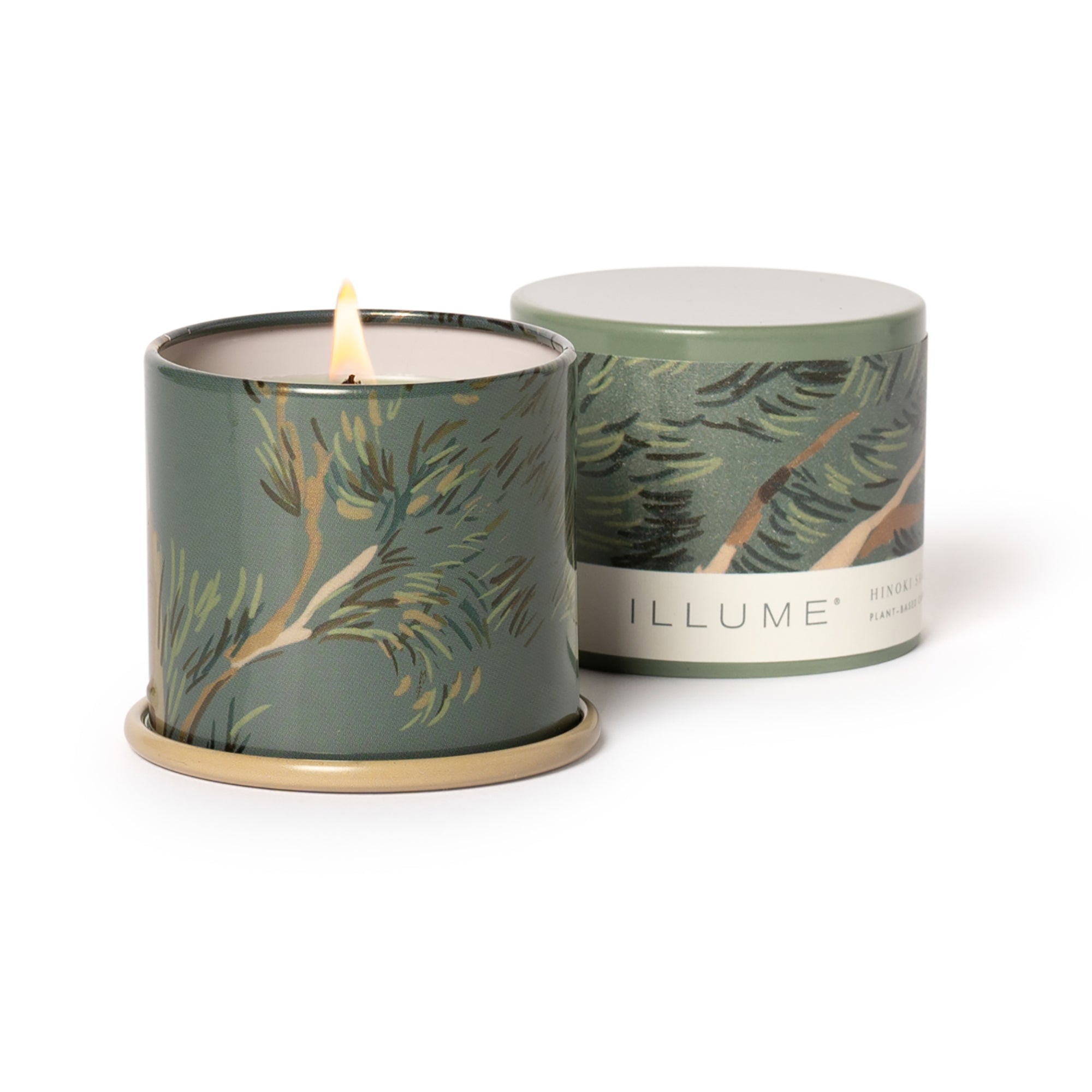 Bougie Demi Vanity verte, sauge de hinoki