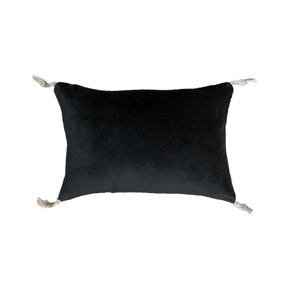 Coussin en velours carbone, 20 x 30 cm