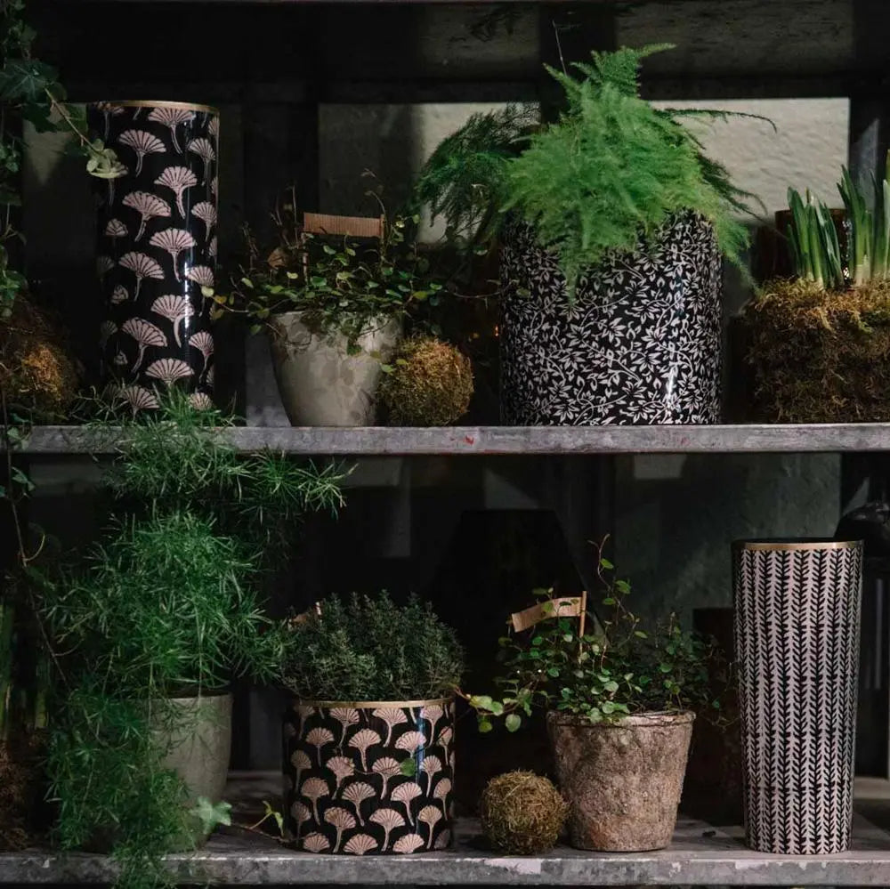Vase Epines