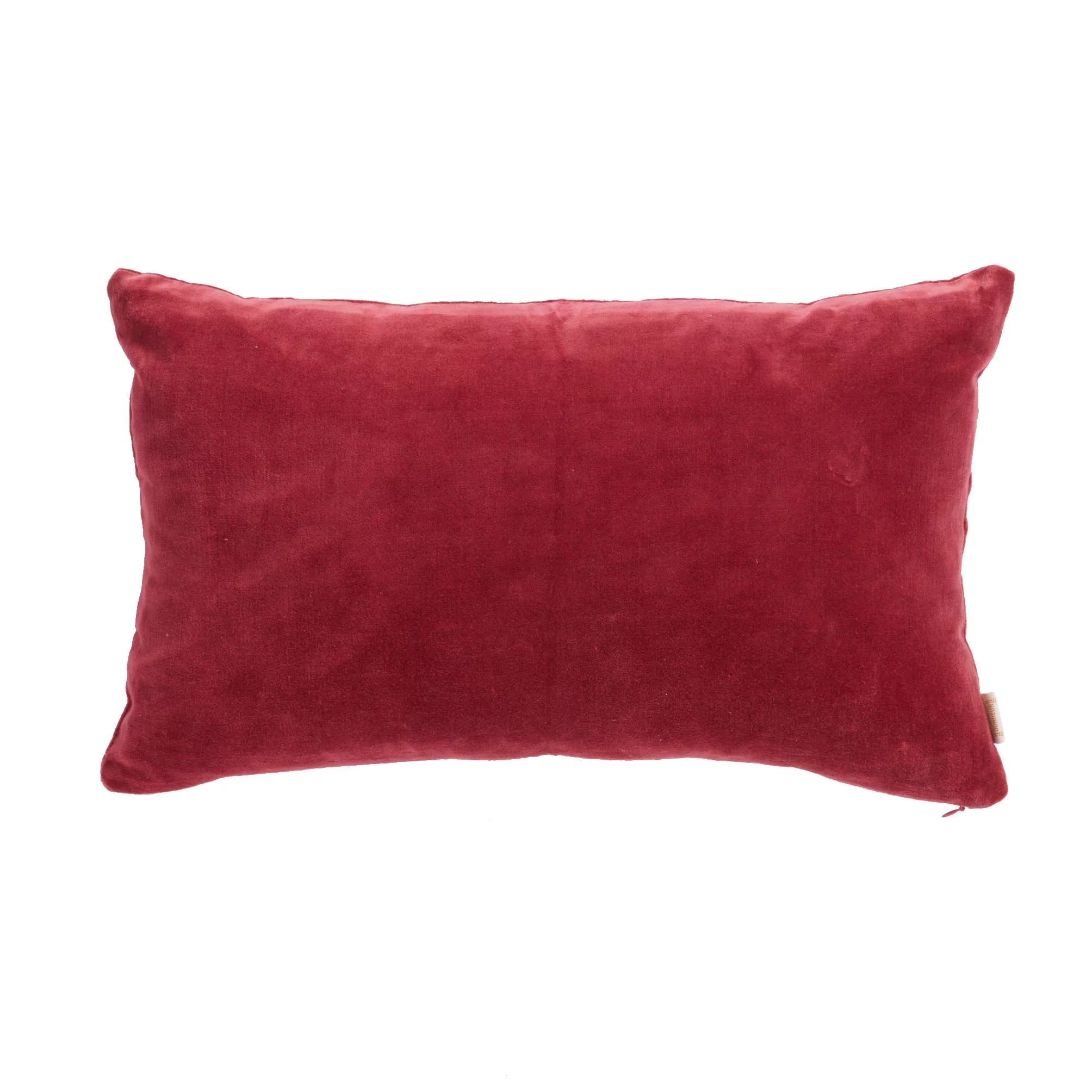 Coussin Velours aubergine