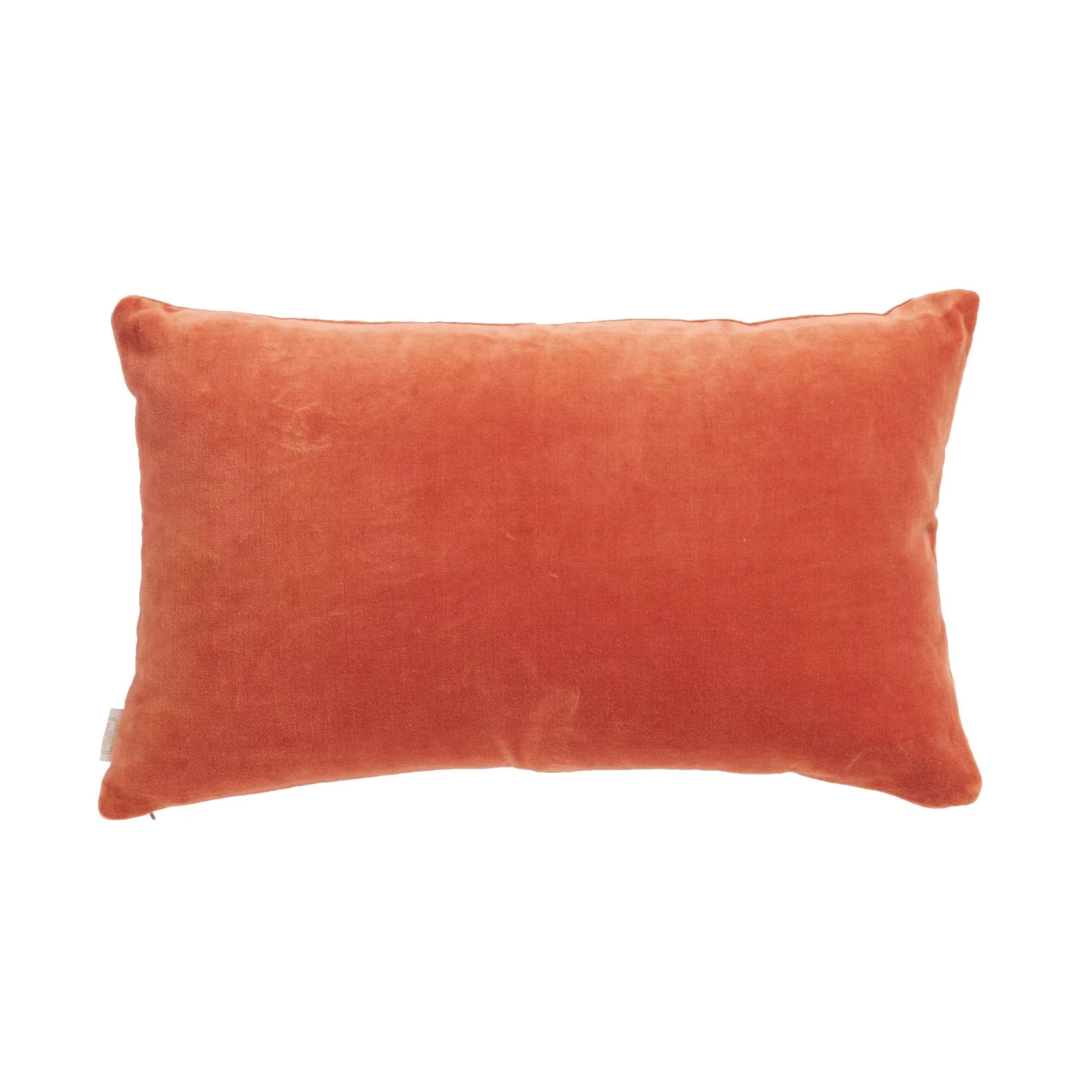 Coussin Velours Tomette