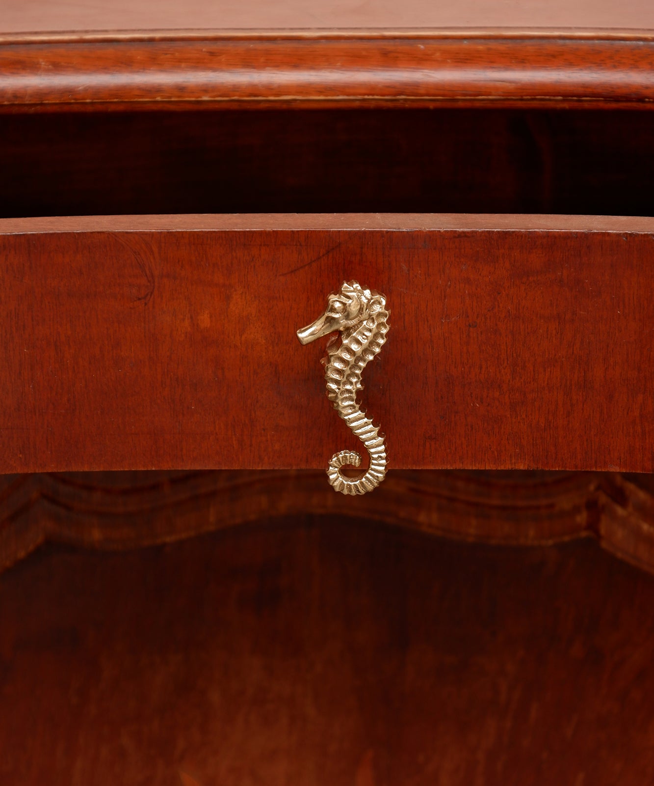Poignée — Pippa Seahorse Brass Knob — view 6 — Doing Goods