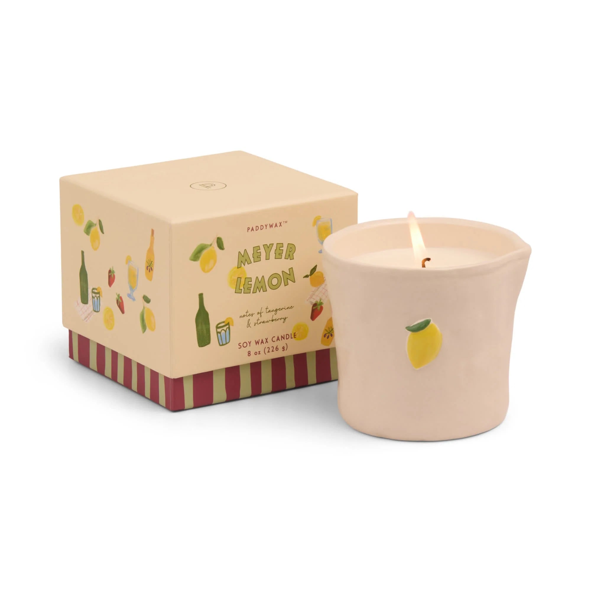 Bougie Citron Meyer 226g