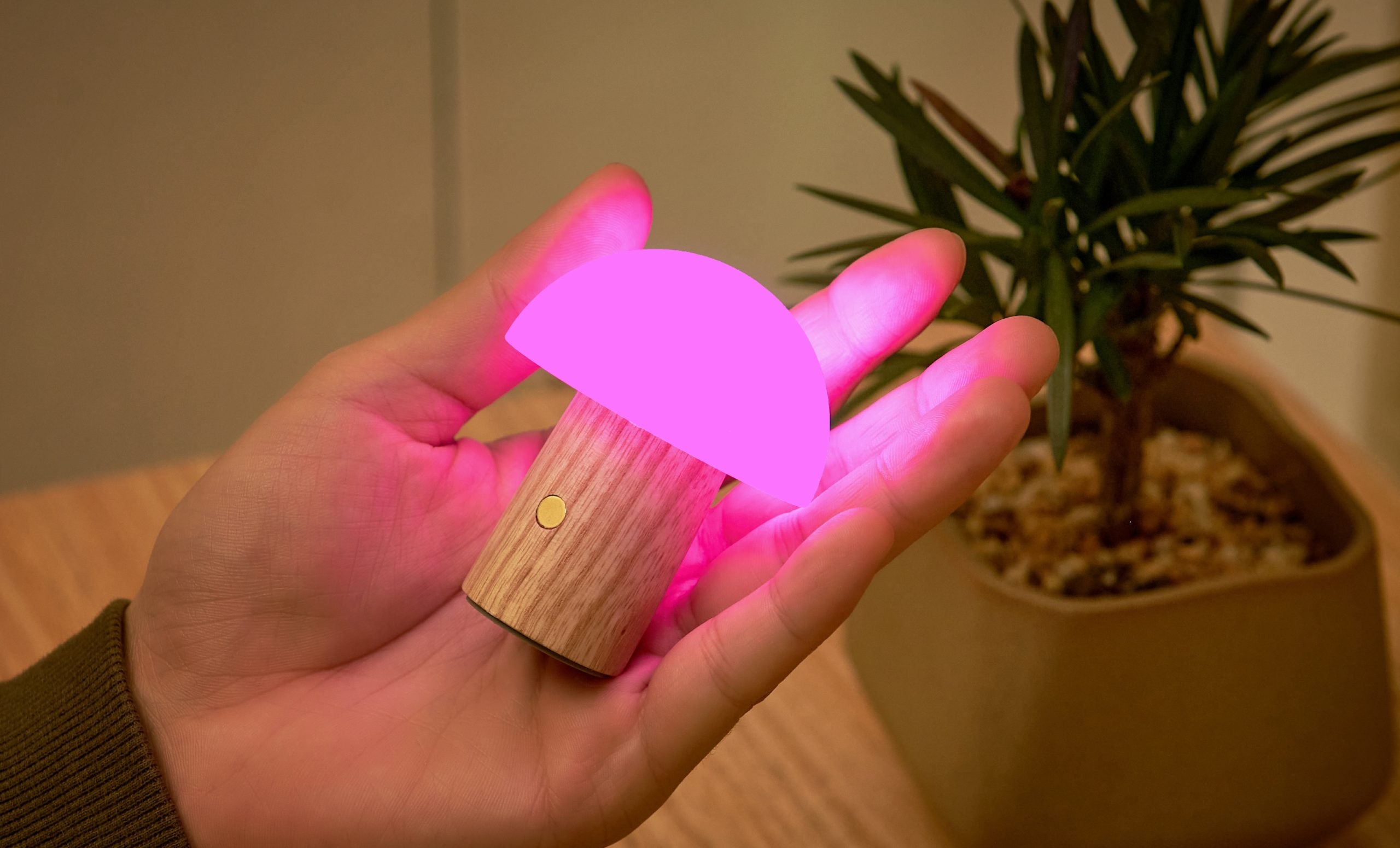 Champignon lumineux