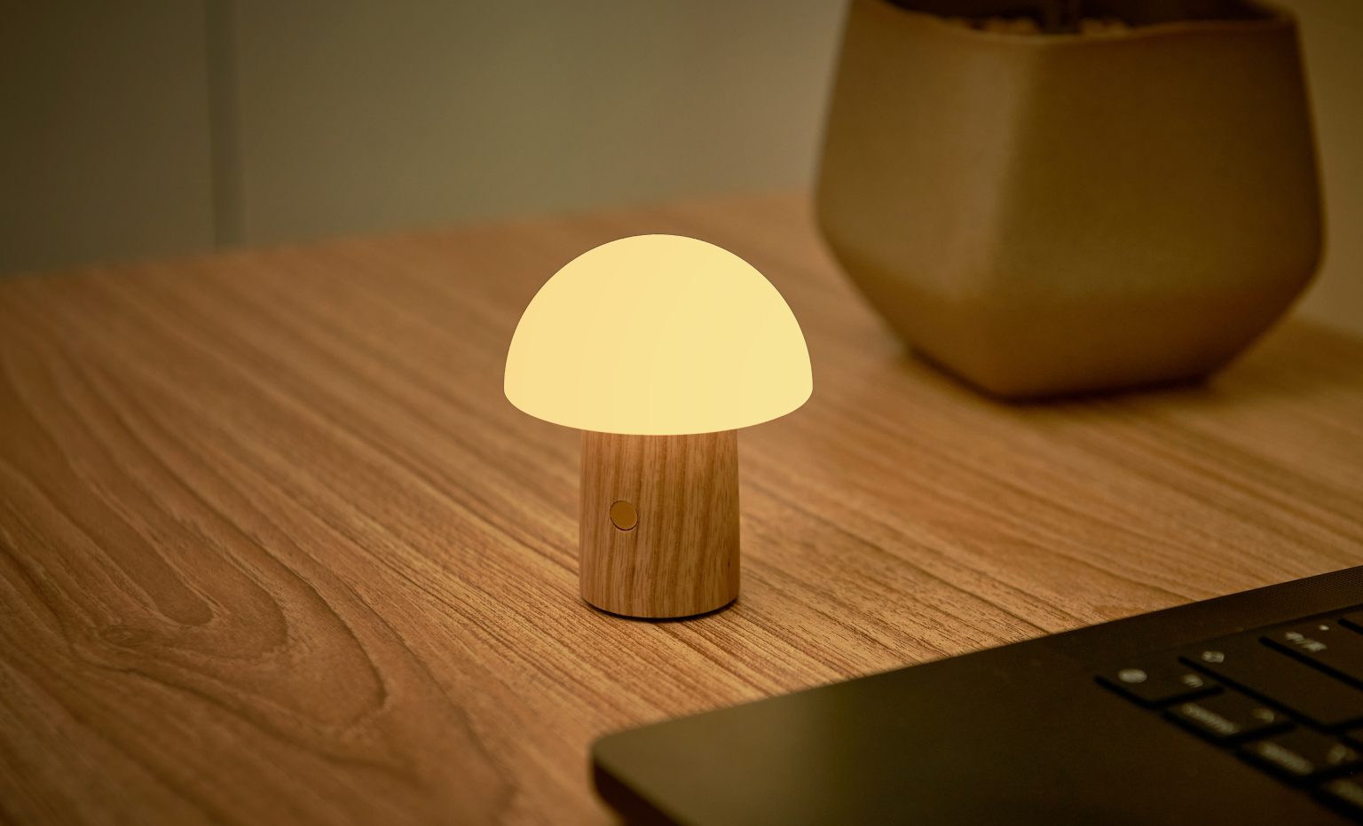 Champignon lumineux