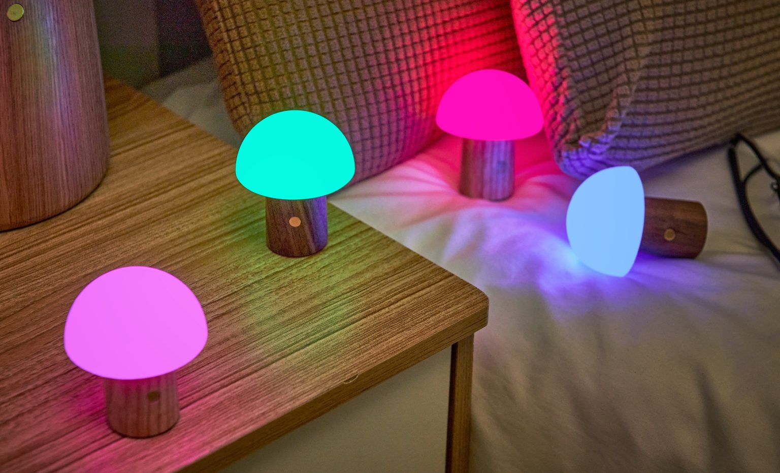 Champignon lumineux