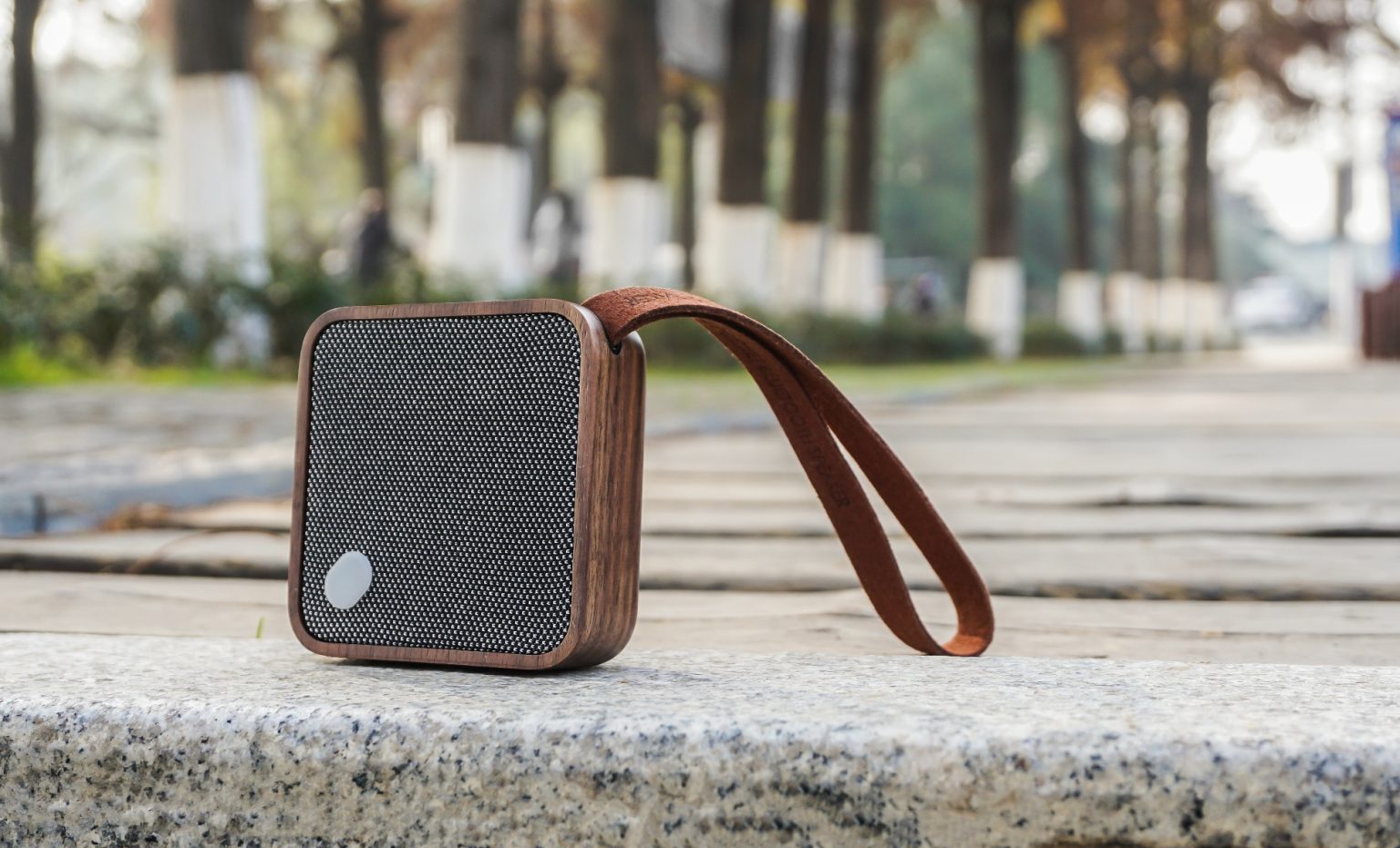Enceinte portable en bois