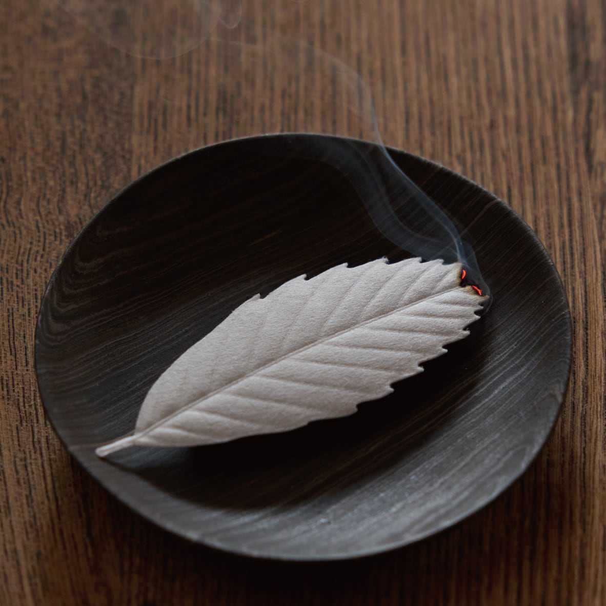 Feuilles d'encens japonais, Cèdre