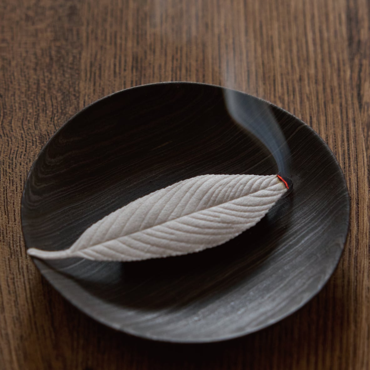 Feuilles d'encens japonais, Mousse