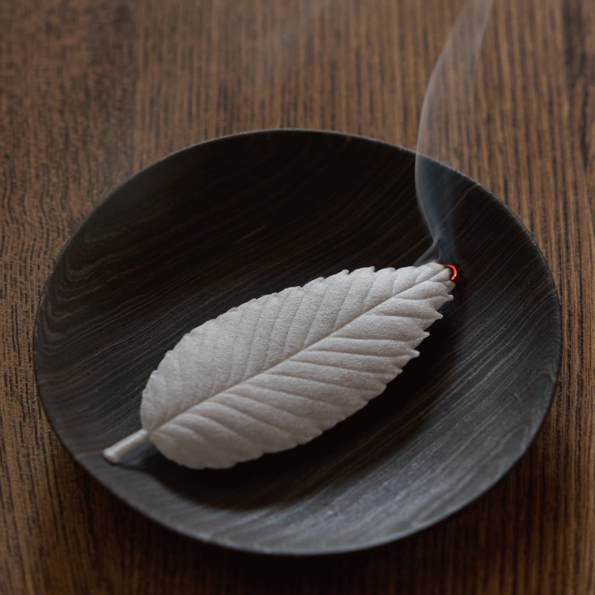 Feuilles d'encens japonais, Santal