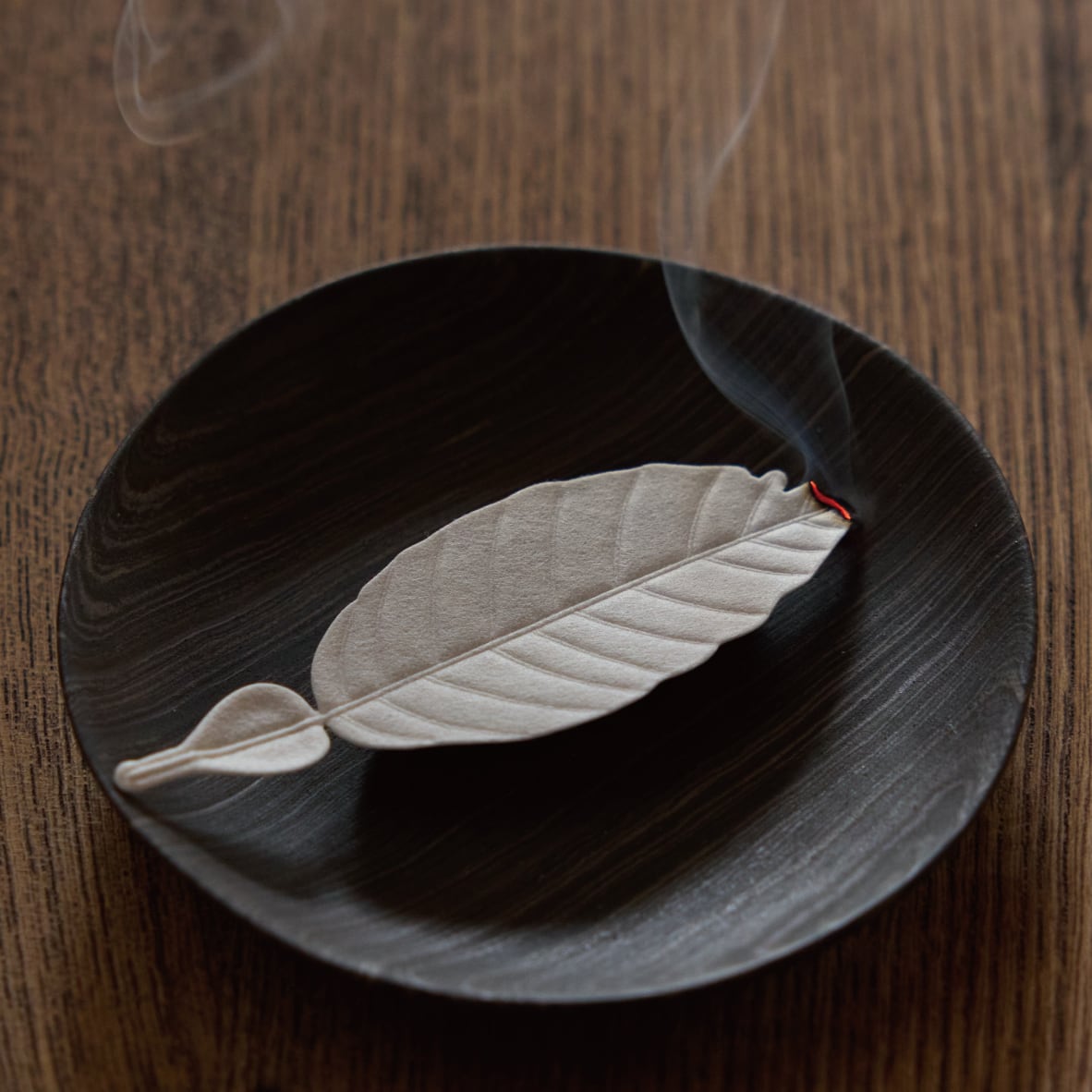 Feuilles d'encens japonais, Elégance agrumes