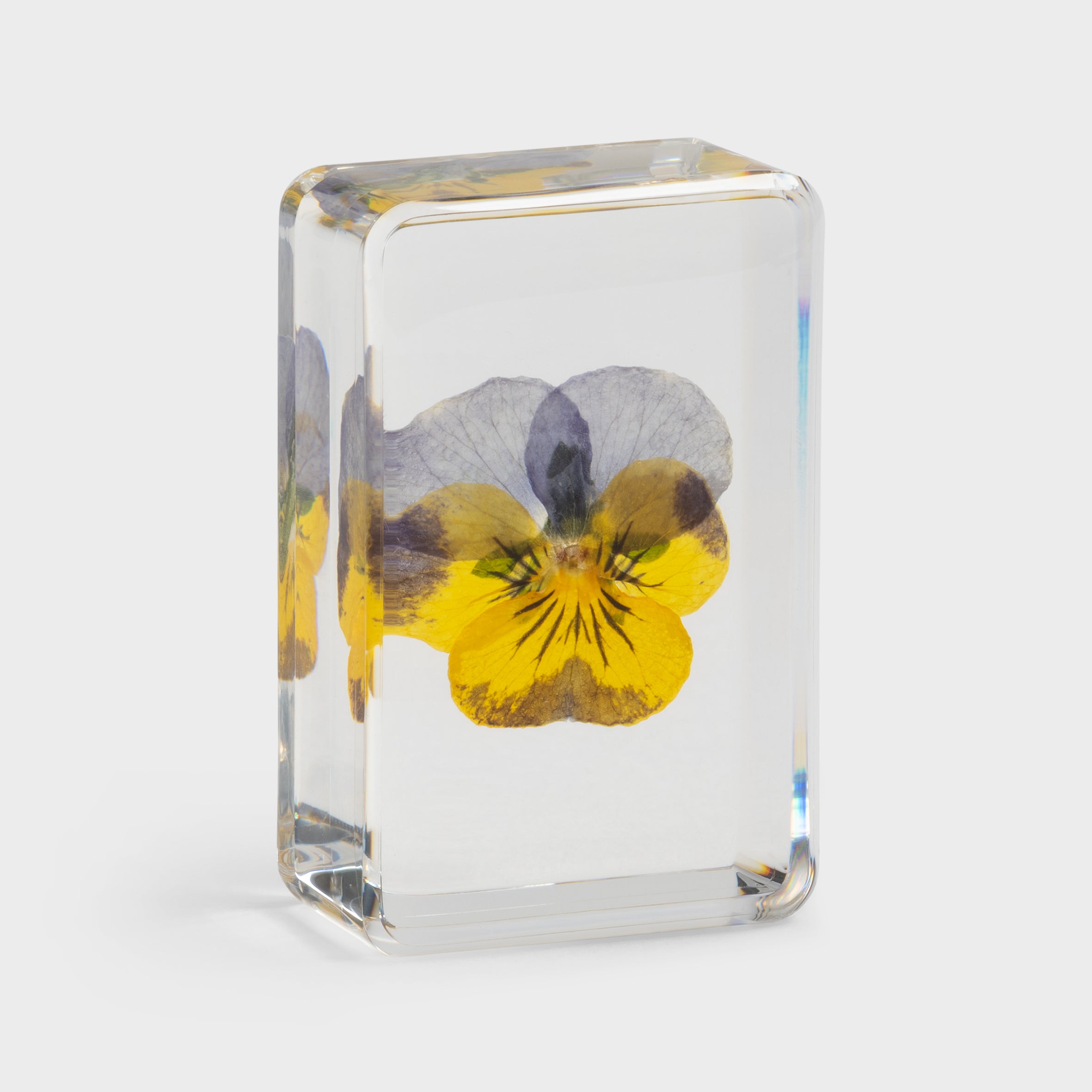 product images - &Klevering - klv-2401-16 - Cube violet 3