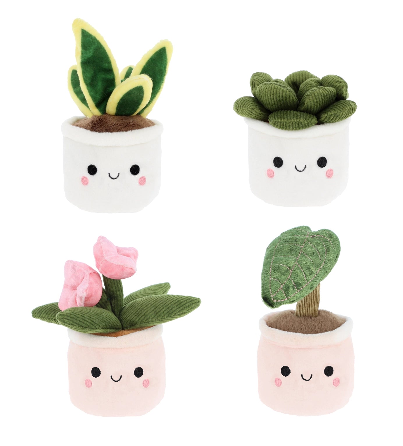 Peluche plante