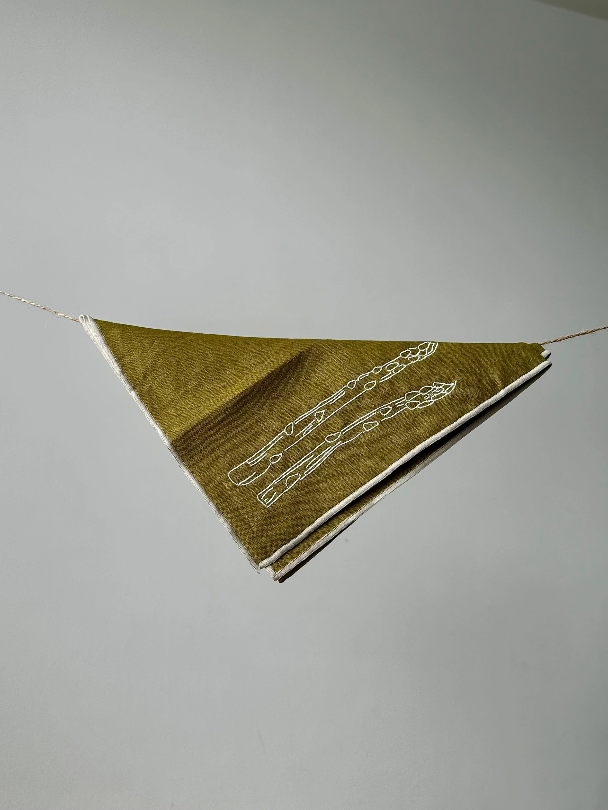 Set of 2 linen blend napkins “Asparagus”