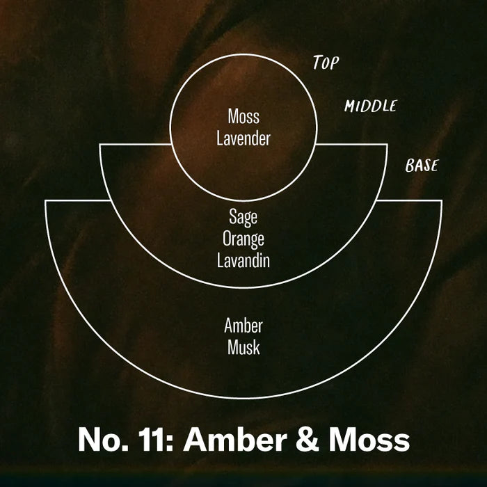 Diffuseur ambre et mousse