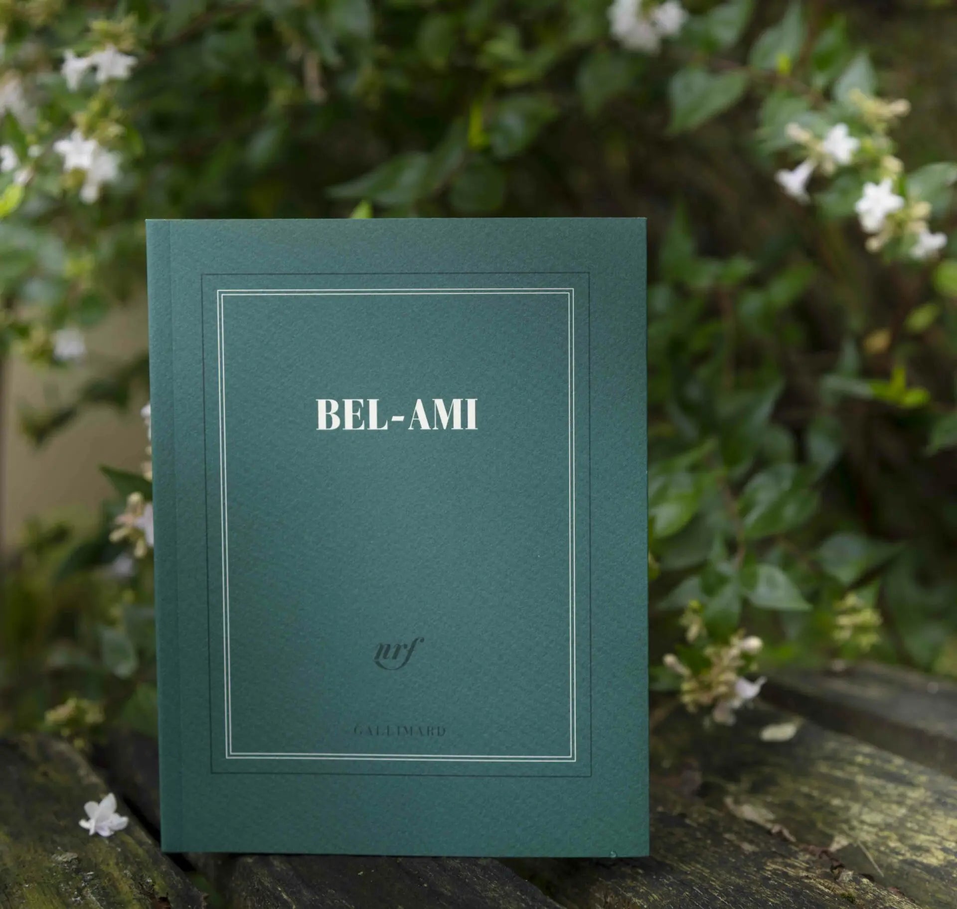 Carnet carré « Bel Ami »