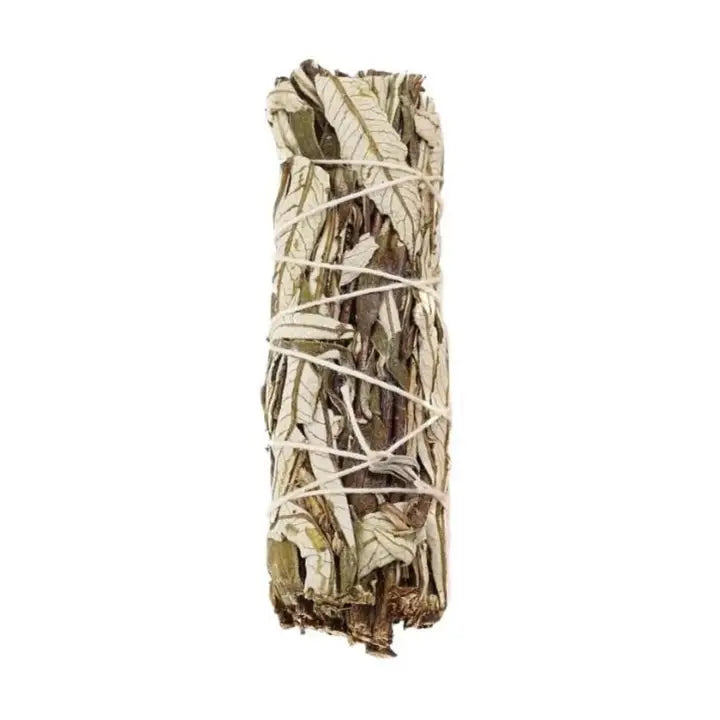 Bâtonnet de Yerba Santa